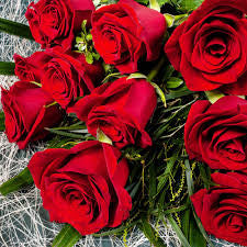 The Valentines "I really do love you" Doz Red Roses Bunch