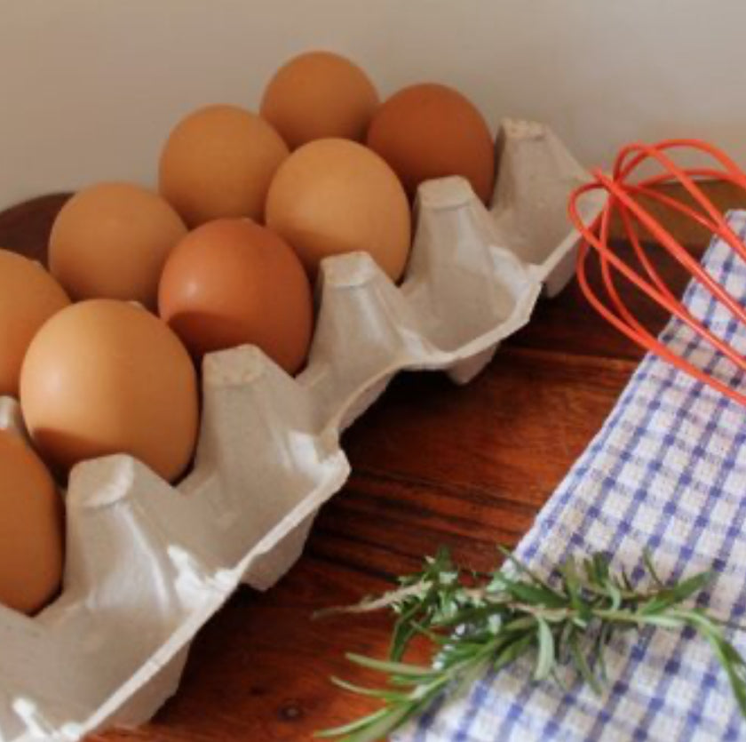 EGGS