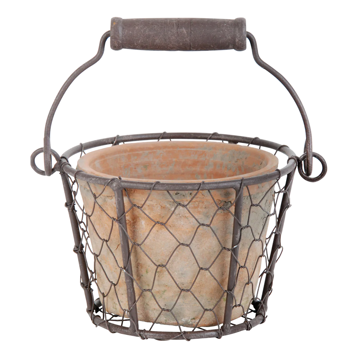 Aged Terracotta Pot in Wire Basket with Handle