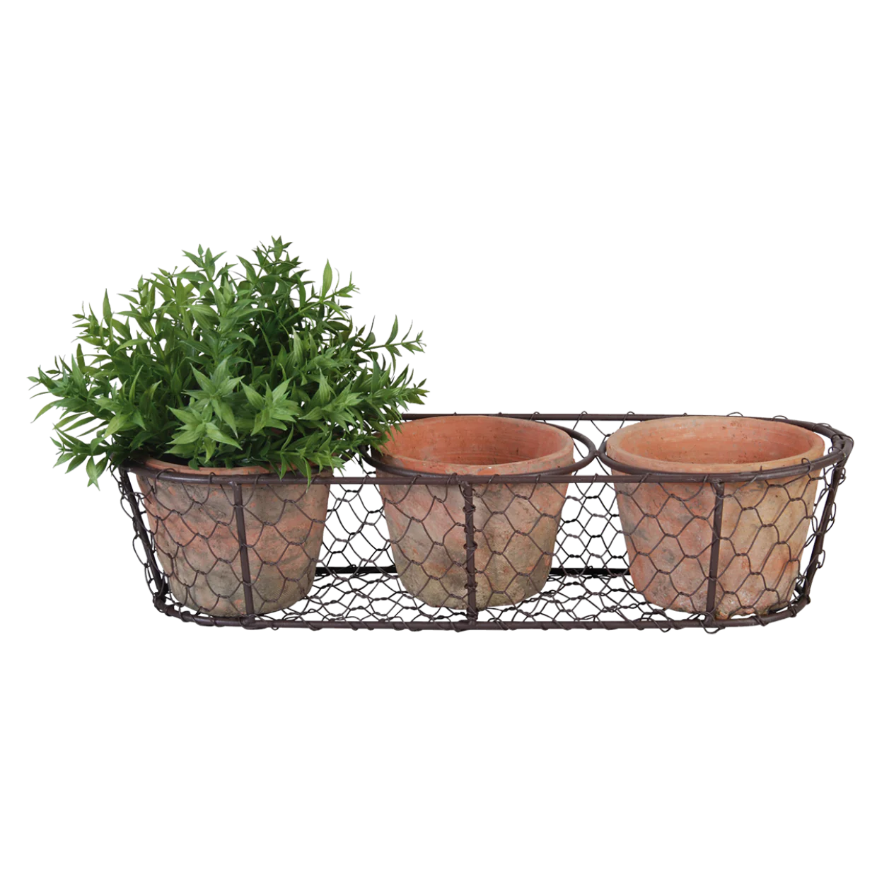 Aged Terracotta 3 Pots in Wire Basket
