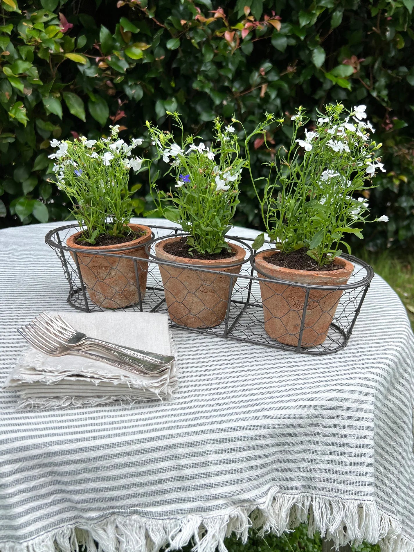 Aged Terracotta 3 Pots in Wire Basket
