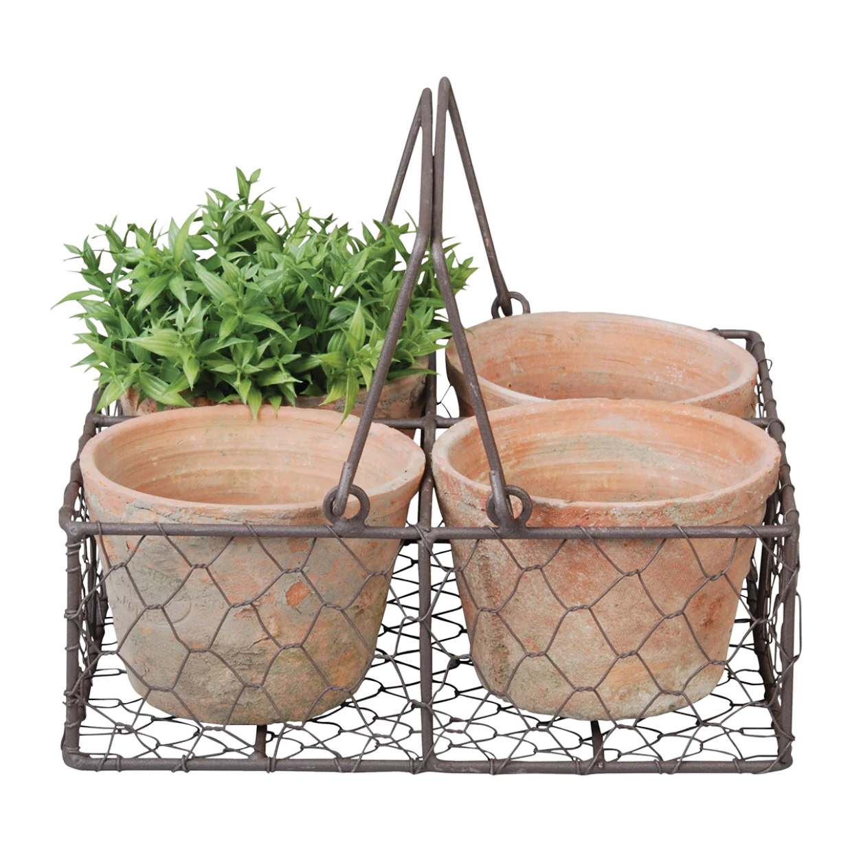 Aged Terracotta 4 Pots in Wire Basket with Handle