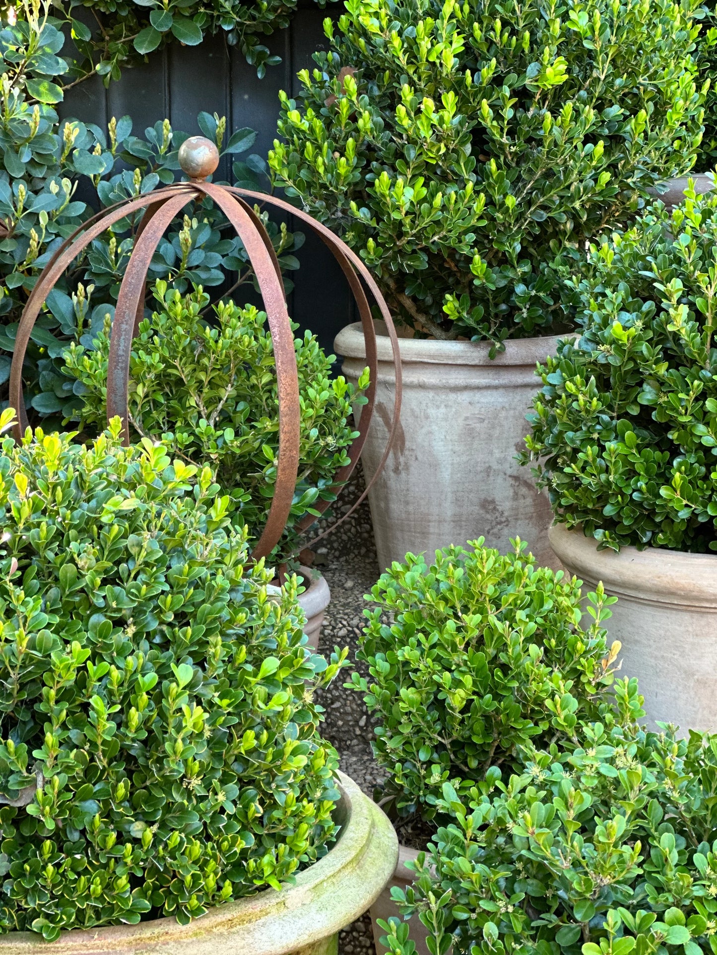 Rusted Topiary Ball