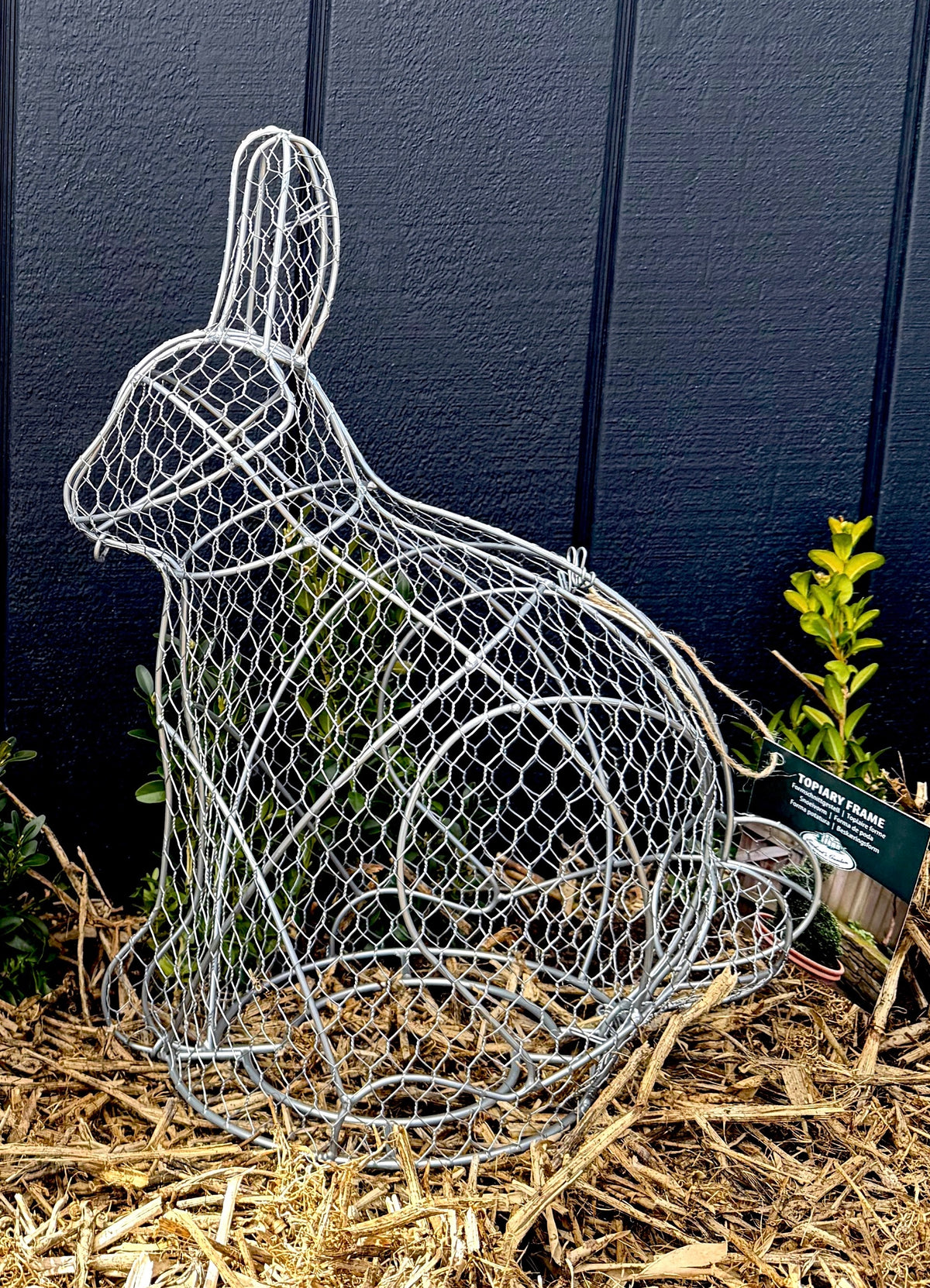 Topiary Frame - Rabbit