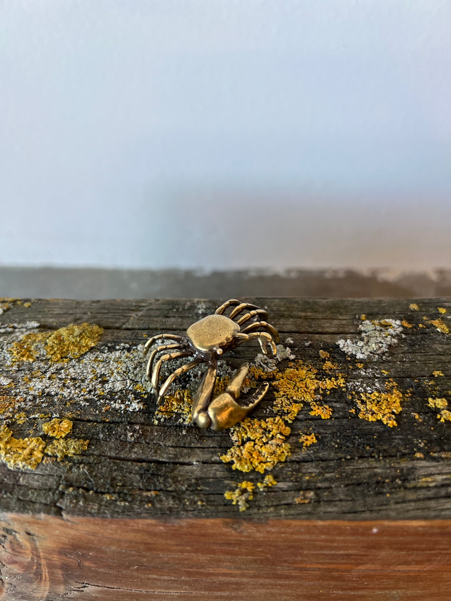 Bronze Critters - Crab