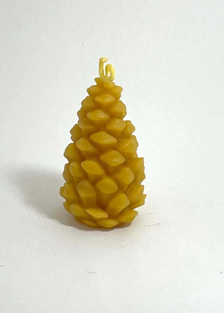Studio Star - Xmas Pine Cone Candle