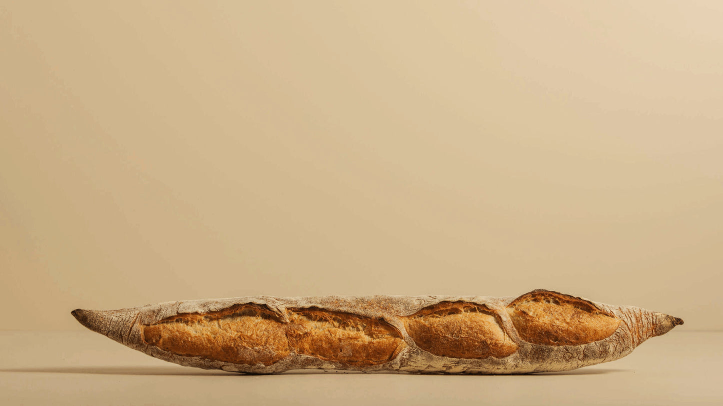 Grizzly - Sourdough Baguette