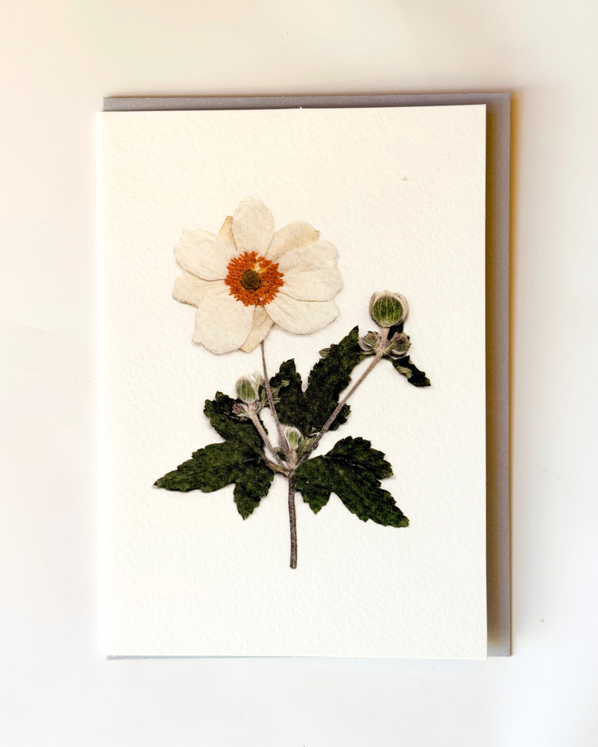 Botanic Press - Japanese Anemone Card