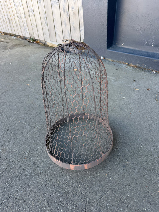 Cloche Wire Dome