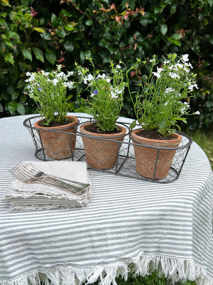 Aged Terracotta 3 Pots in Wire Basket