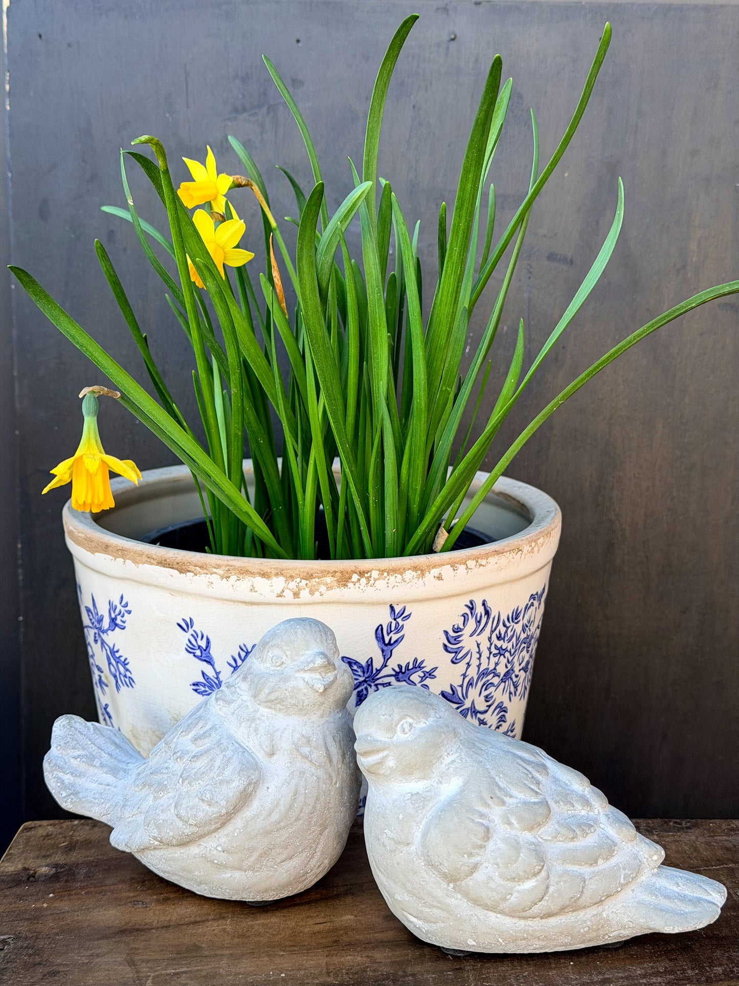 Sparrow Bird Set - Concrete