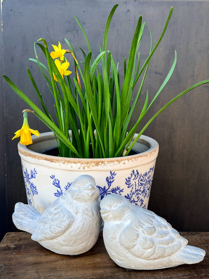 Sparrow Bird Set - Concrete