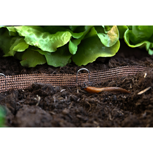 Copper Fence Mesh - Slug & Snail Prevention