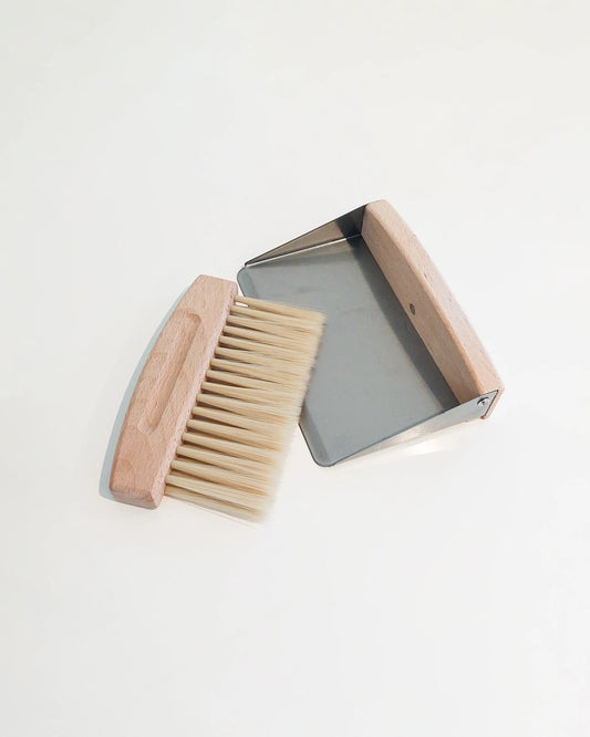 Dust Pan & Brush