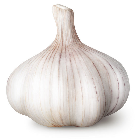 Long Hill Station Garlic Bulb