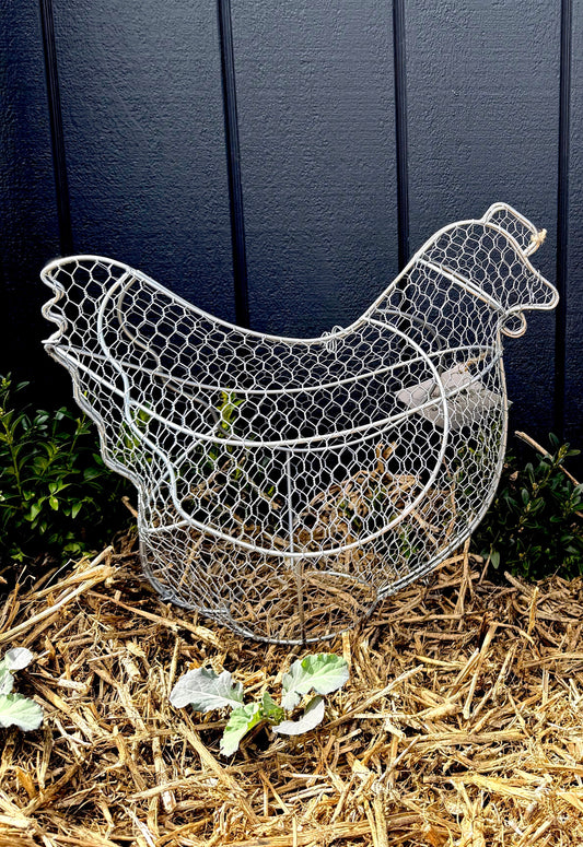 Topiary Frame - Chicken