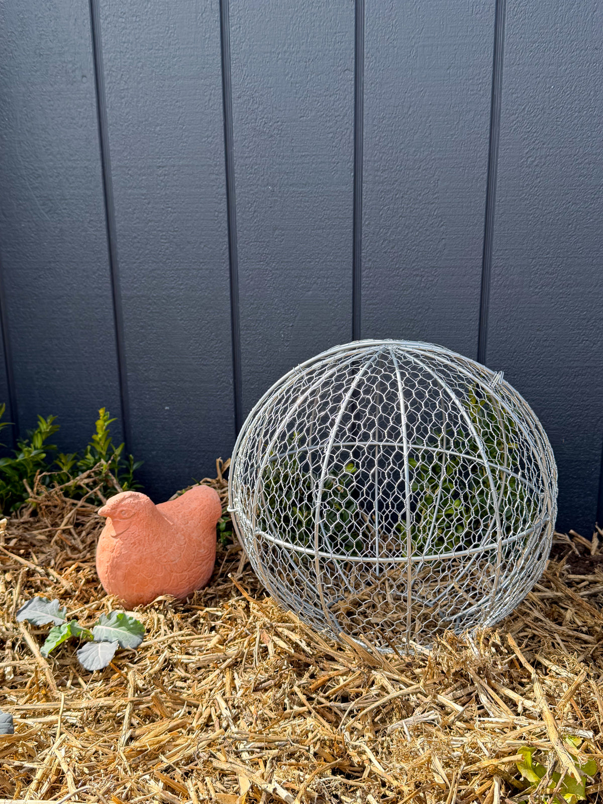 Topiary Frame - Ball (Small)