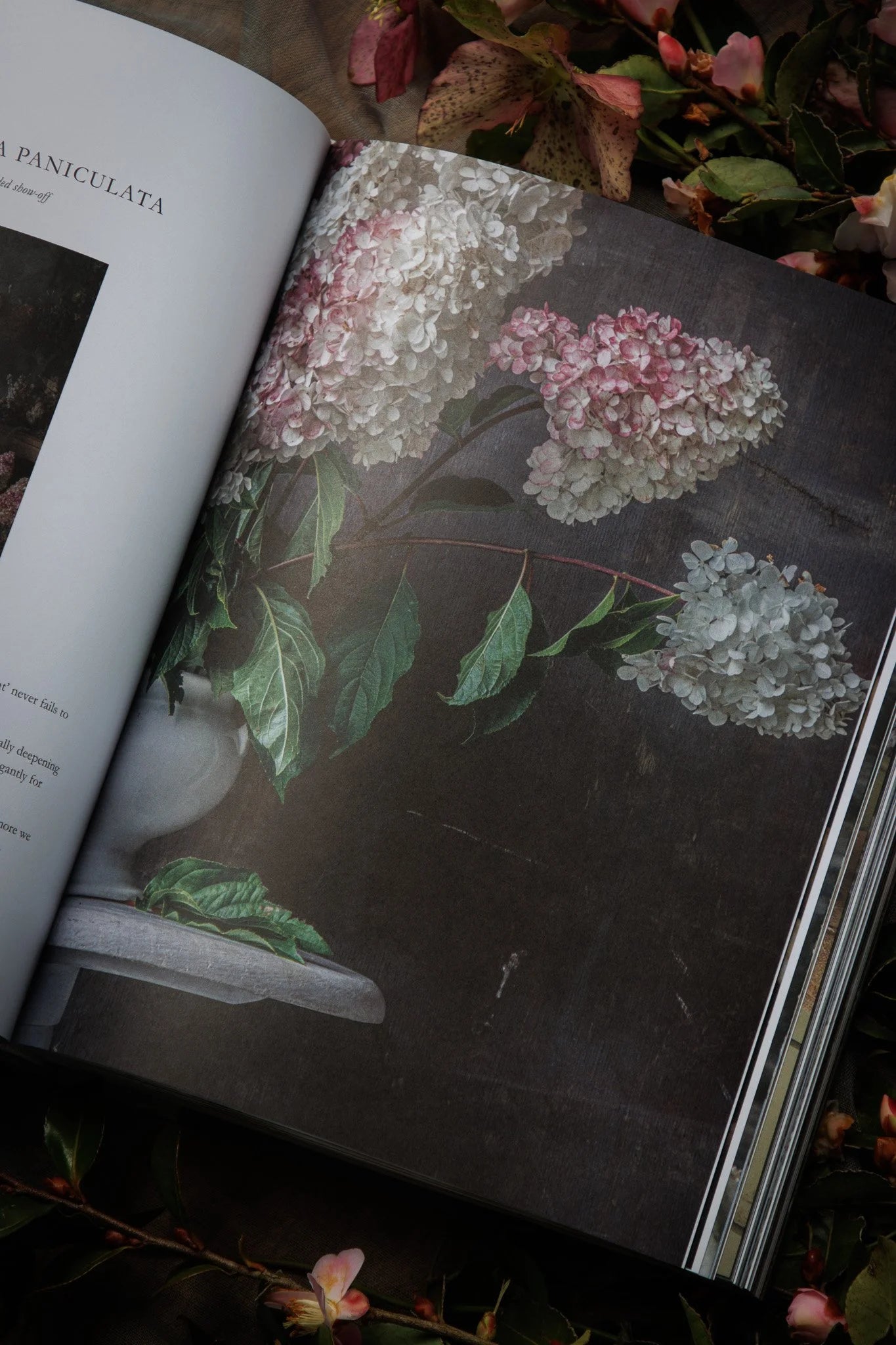 Floral Abundance - Kate Williams – The After-hours Stylist