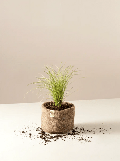 The Wool Pot - 3 pack