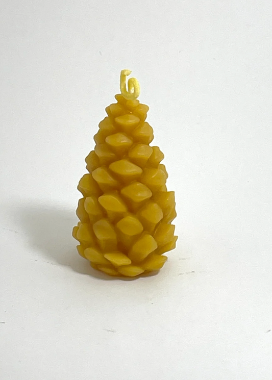 Studio Star - Xmas Pine Cone Candle