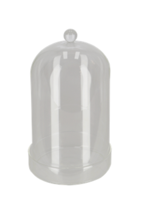 Glass Bell Jar - With Bowl - Small