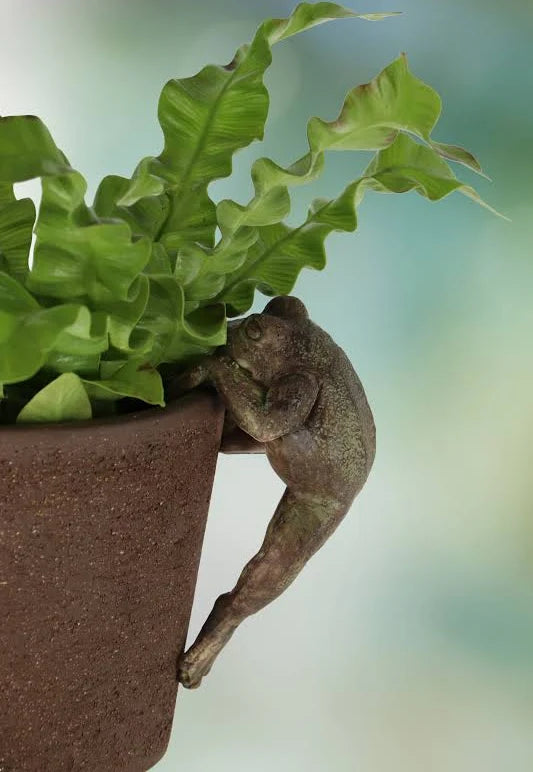 Pot Hanger Frog
