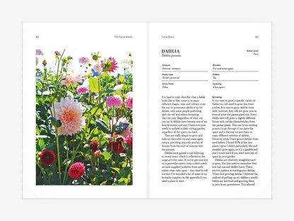 Floral Dream - Olivia McCord