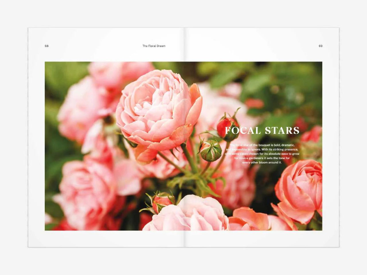 Floral Dream - Olivia McCord
